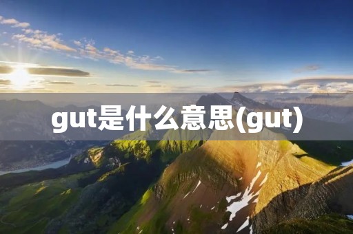 gut是什么意思(gut)