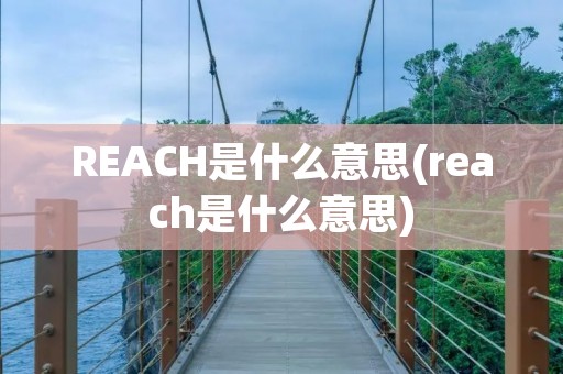 REACH是什么意思(reach是什么意思)