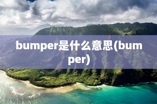 bumper是什么意思(bumper)