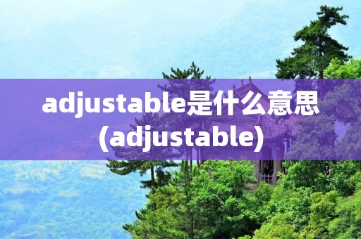 adjustable是什么意思(adjustable)