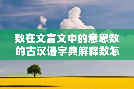 数在文言文中的意思数的古汉语字典解释数怎么读(数)