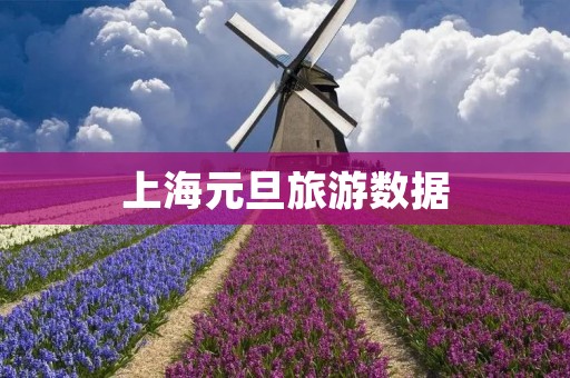 上海元旦旅游数据
