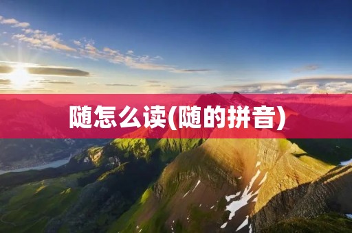 随怎么读(随的拼音)