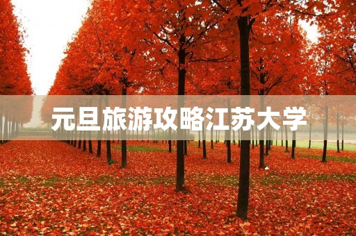元旦旅游攻略江苏大学
