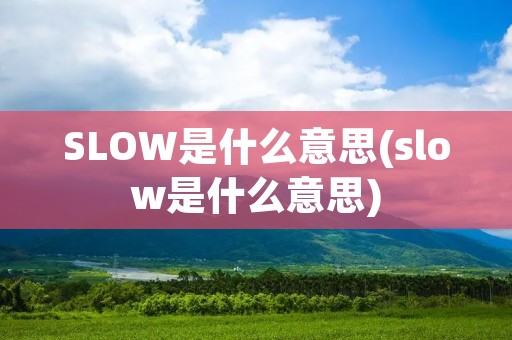 SLOW是什么意思(slow是什么意思)