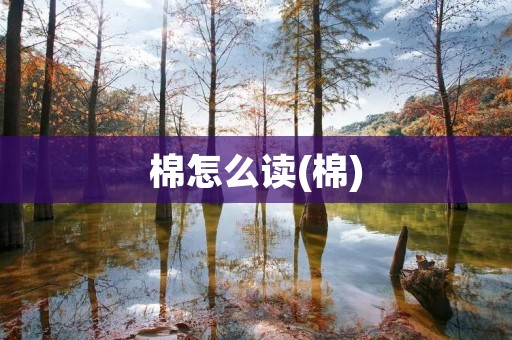 棉怎么读(棉)
