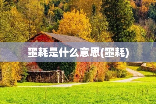 噩耗是什么意思(噩耗)
