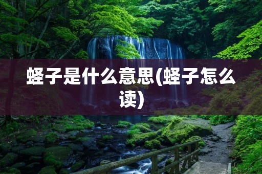 蛏子是什么意思(蛏子怎么读)