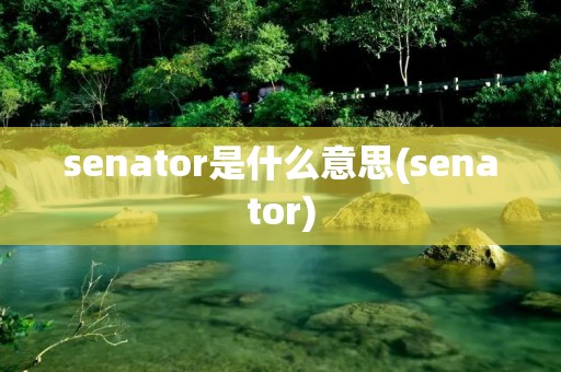 senator是什么意思(senator)