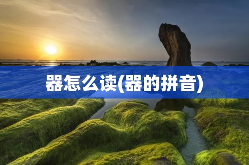 器怎么读(器的拼音)