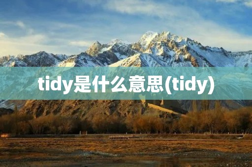 tidy是什么意思(tidy)