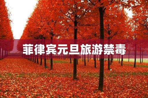 菲律宾元旦旅游禁毒