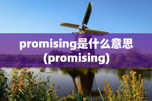 promising是什么意思(promising)