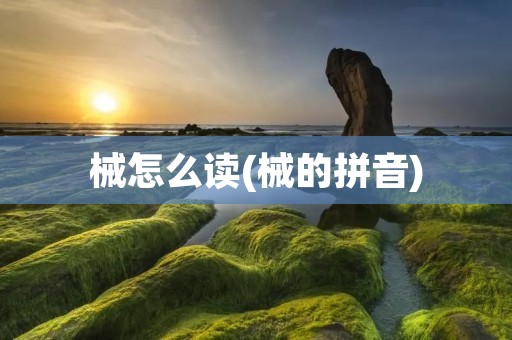 械怎么读(械的拼音)