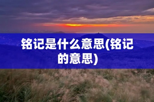 铭记是什么意思(铭记的意思)