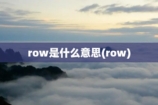 row是什么意思(row)