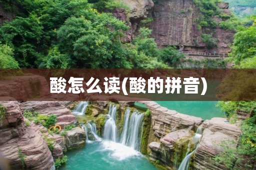 酸怎么读(酸的拼音)