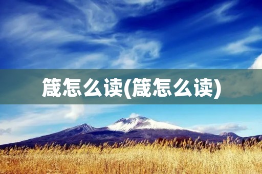 箴怎么读(箴怎么读)