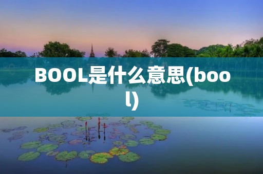 BOOL是什么意思(bool)