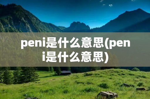 peni是什么意思(peni是什么意思)