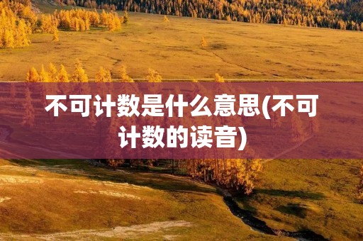 不可计数是什么意思(不可计数的读音)