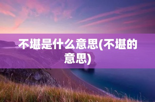 不堪是什么意思(不堪的意思)