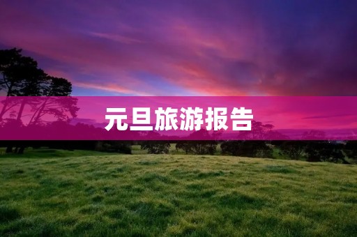 元旦旅游报告