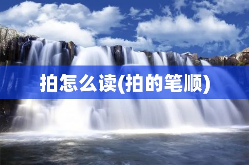 拍怎么读(拍的笔顺)