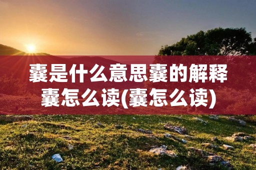囊是什么意思囊的解释囊怎么读(囊怎么读)