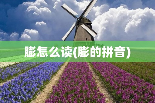 膨怎么读(膨的拼音)