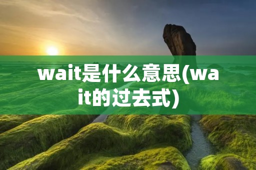 wait是什么意思(wait的过去式)