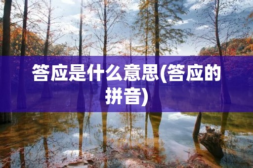 答应是什么意思(答应的拼音)