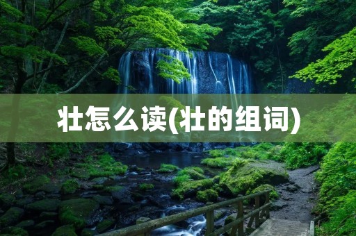壮怎么读(壮的组词)