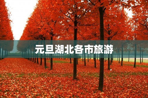 元旦湖北各市旅游