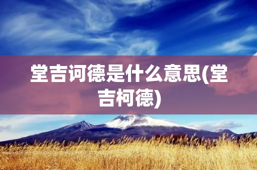堂吉诃德是什么意思(堂吉柯德)