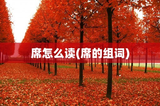 席怎么读(席的组词)