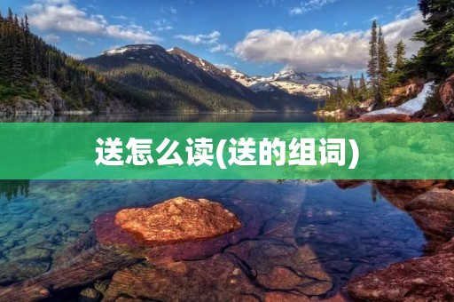 送怎么读(送的组词)