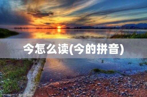 今怎么读(今的拼音)