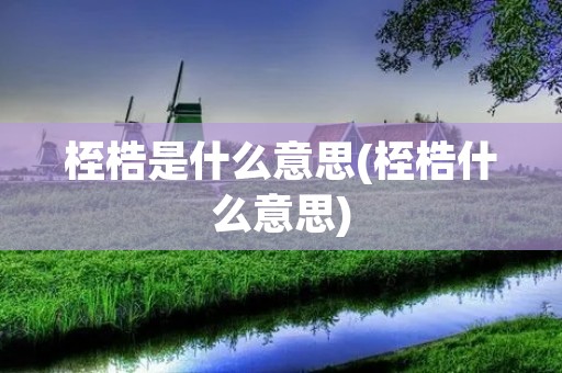 桎梏是什么意思(桎梏什么意思)