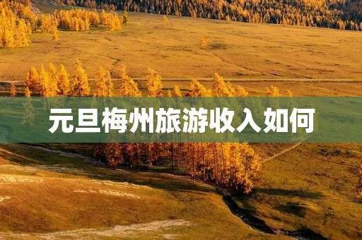 元旦梅州旅游收入如何
