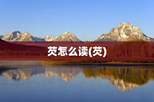 芡怎么读(芡)