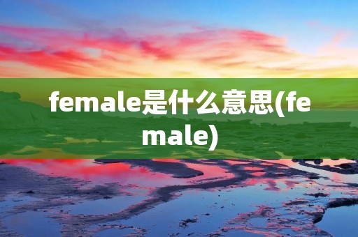 female是什么意思(female)