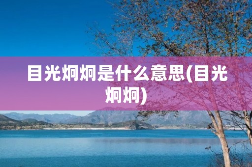 目光炯炯是什么意思(目光炯炯)