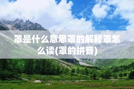 罩是什么意思罩的解释罩怎么读(罩的拼音)