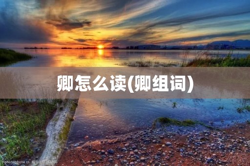 卿怎么读(卿组词)