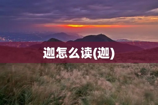 迦怎么读(迦)