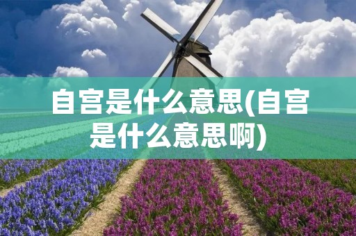 自宫是什么意思(自宫是什么意思啊)