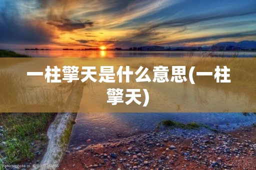 一柱擎天是什么意思(一柱擎天)