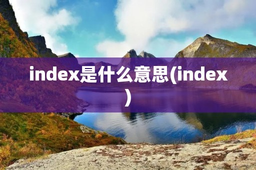 index是什么意思(index)