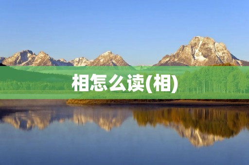 相怎么读(相)